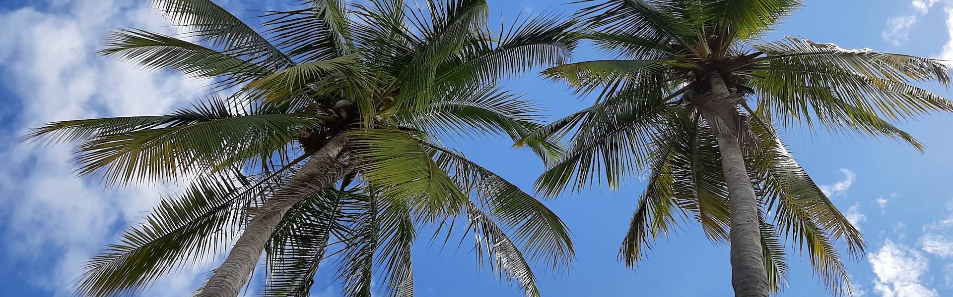 Informazioni turistiche Costa Rica