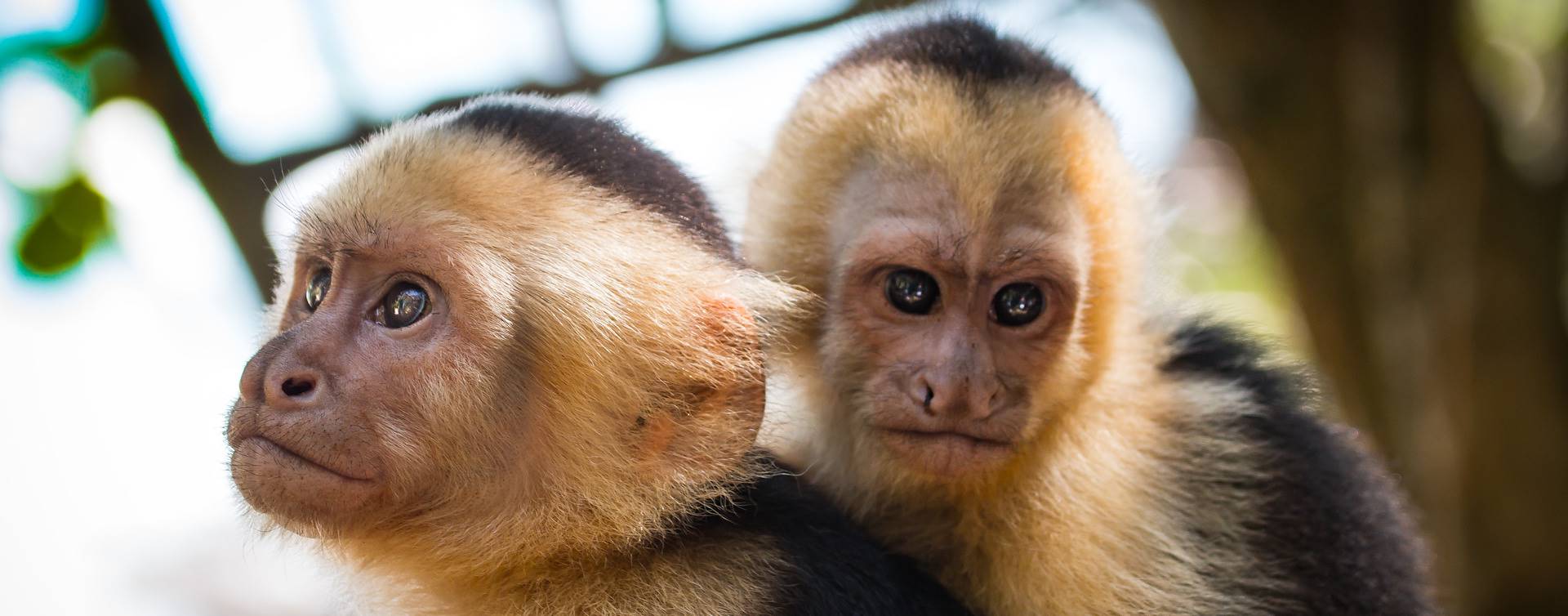 Aprile dal 27/04/2026 al 06/05/2026 (rientro in Italia il 7 maggio)