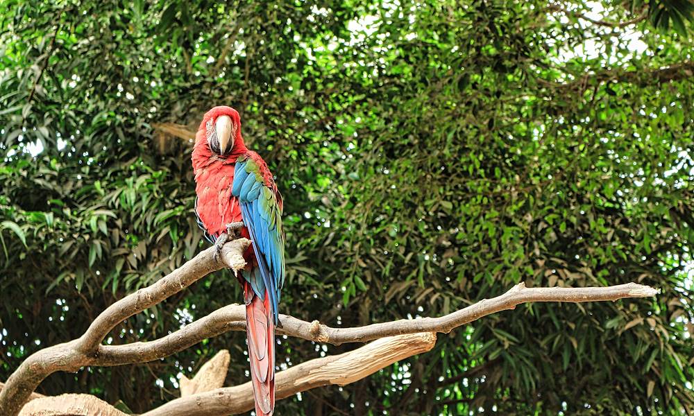 Informazioni turistiche Costa Rica