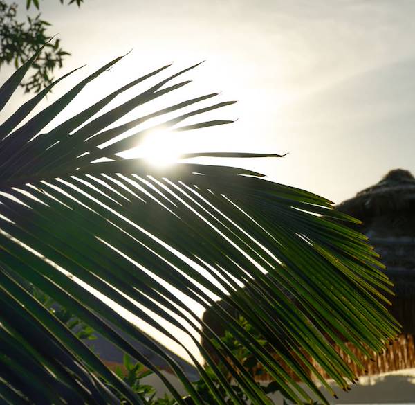 Costa Rica per italiani: comunità, integrazione e qualità della vita