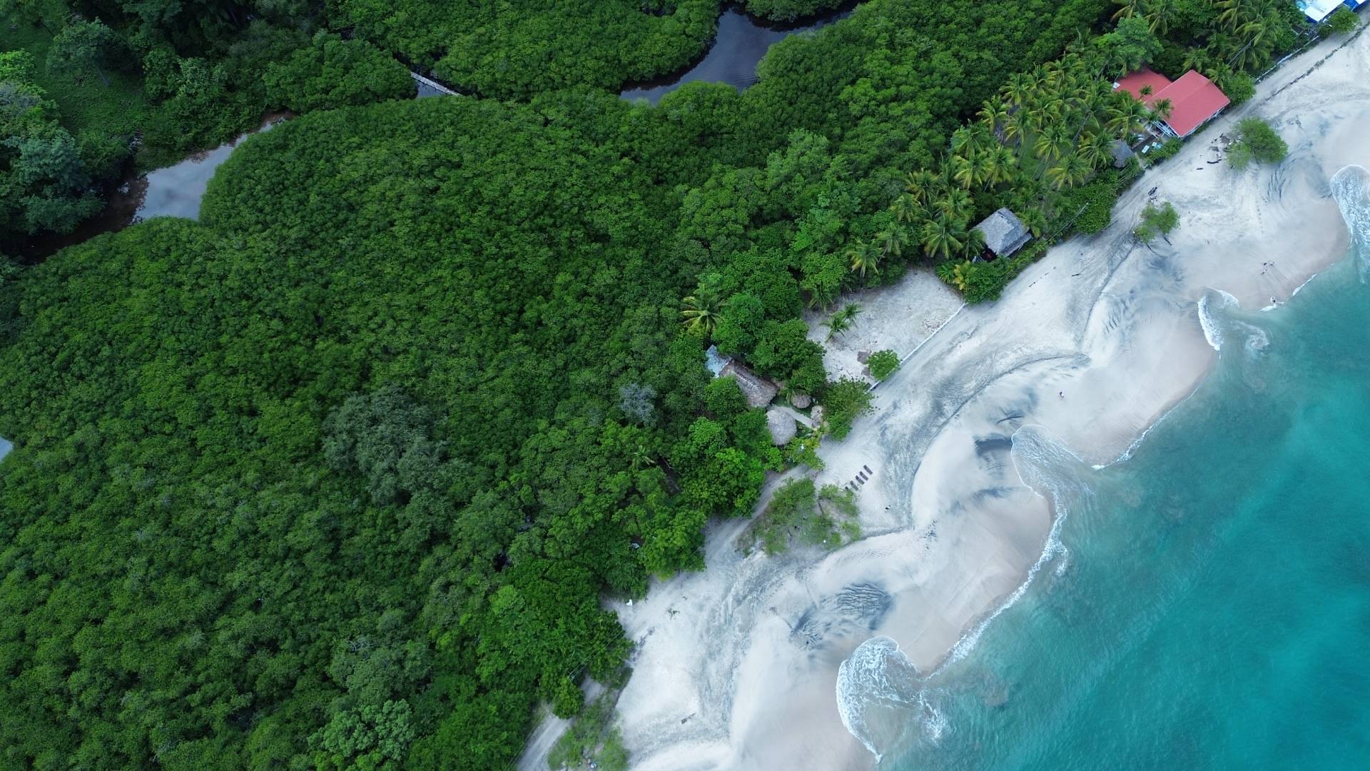 Costa Rica 2025: The Most Thrilling Adventures to Try Amid Nature and Fun