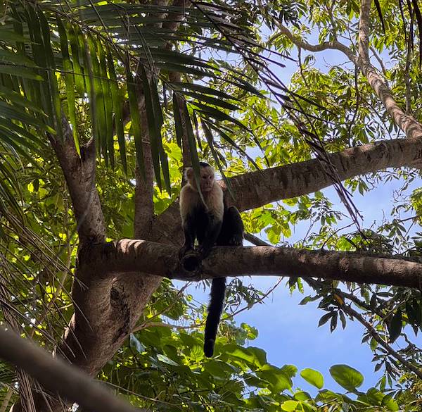 Costa Rica: il Paese più verde dove costruire un futuro sereno