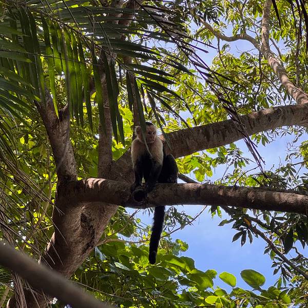 Costa Rica: The Greenest Country to Build a Peaceful Future