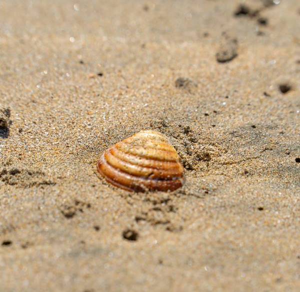 Costa Rica Is the “Best International Destination 2025”: According to Men’s Health