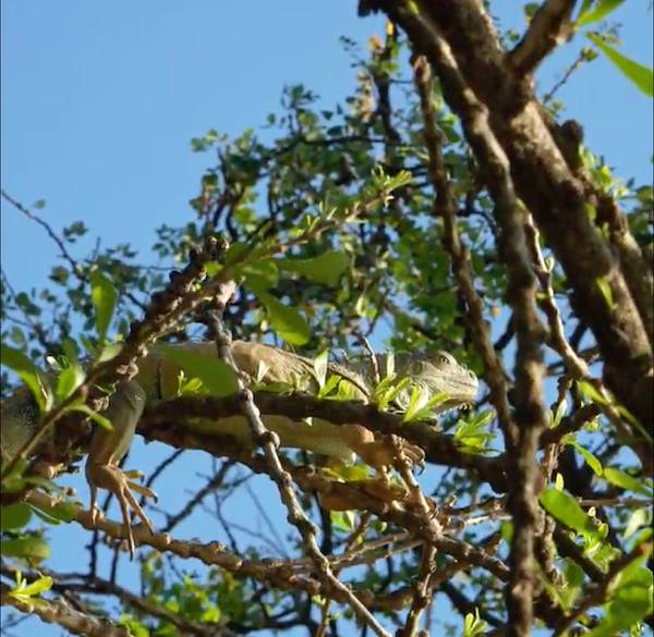 Where Is Costa Rica and Why Does Its Location Matter to Investors?