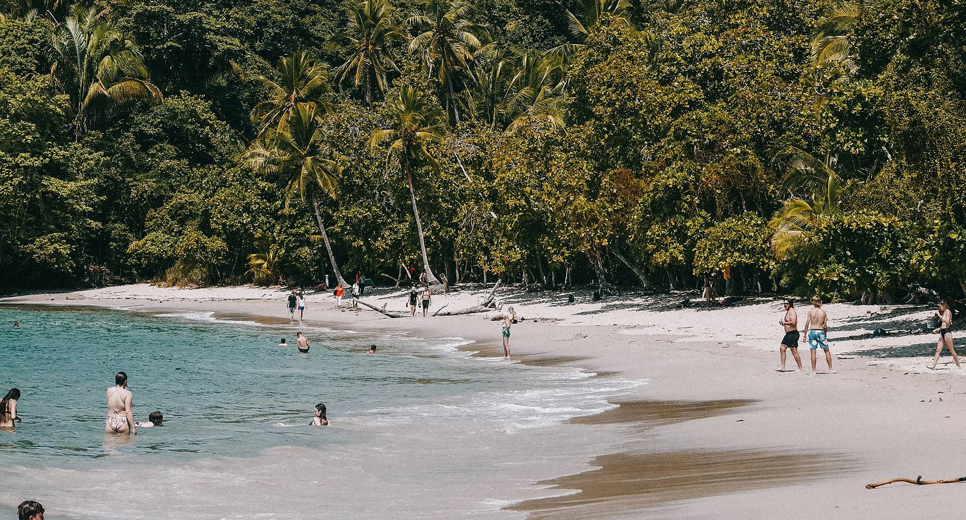 Investire in Costa Rica con Sicurezza: Stabilità Politica e Opportunità con Flor de Pacifico