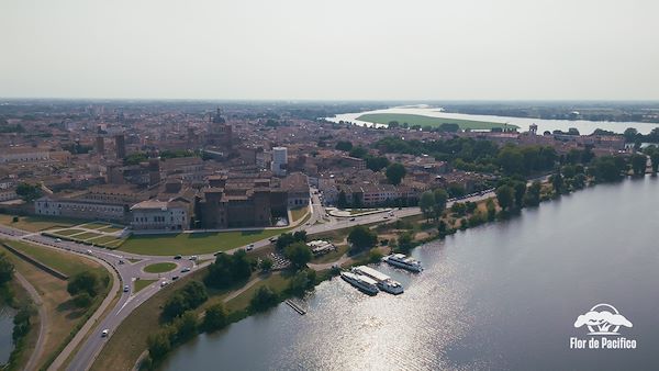 Cruise on the Lakes of Mantua