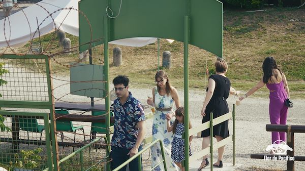 Cruise on the Lakes of Mantua