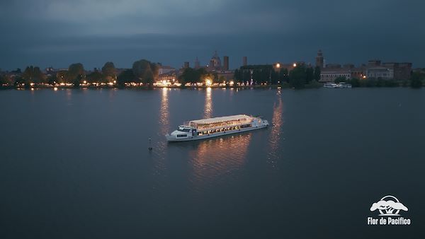 Cruise on the Lakes of Mantua