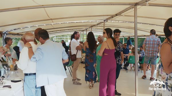 Cruise on the Lakes of Mantua