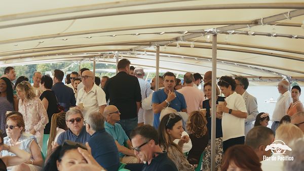 Cruise on the Lakes of Mantua