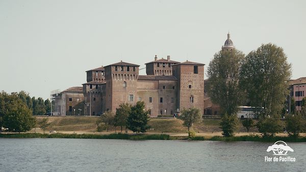 Cruise on the Lakes of Mantua