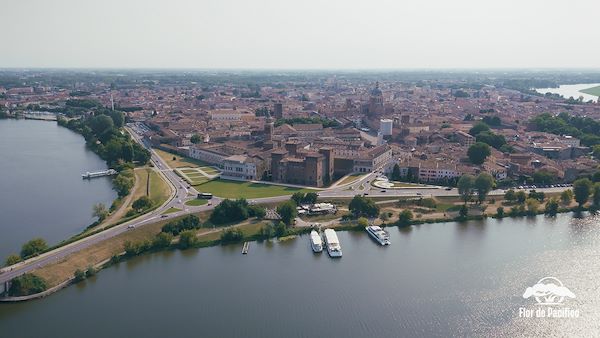 Cruise on the Lakes of Mantua