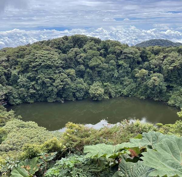 Urban Biodiversity Refuges: Costa Rica Turns Concrete and Traffic into Green Sanctuaries
