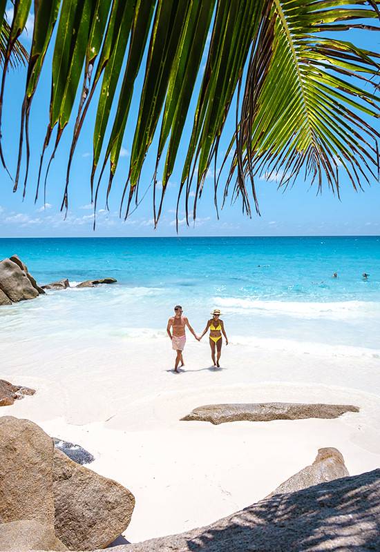 Invest in paradise