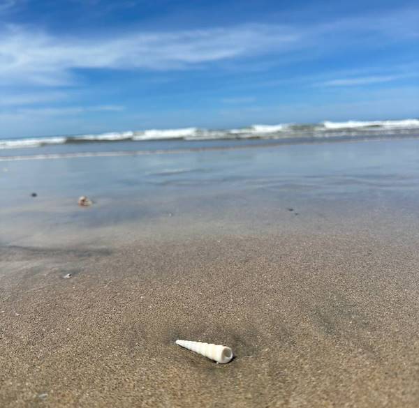 Il mio viaggio in Costa Rica con Flor de Pacifico: tra natura, comunità e pura vida