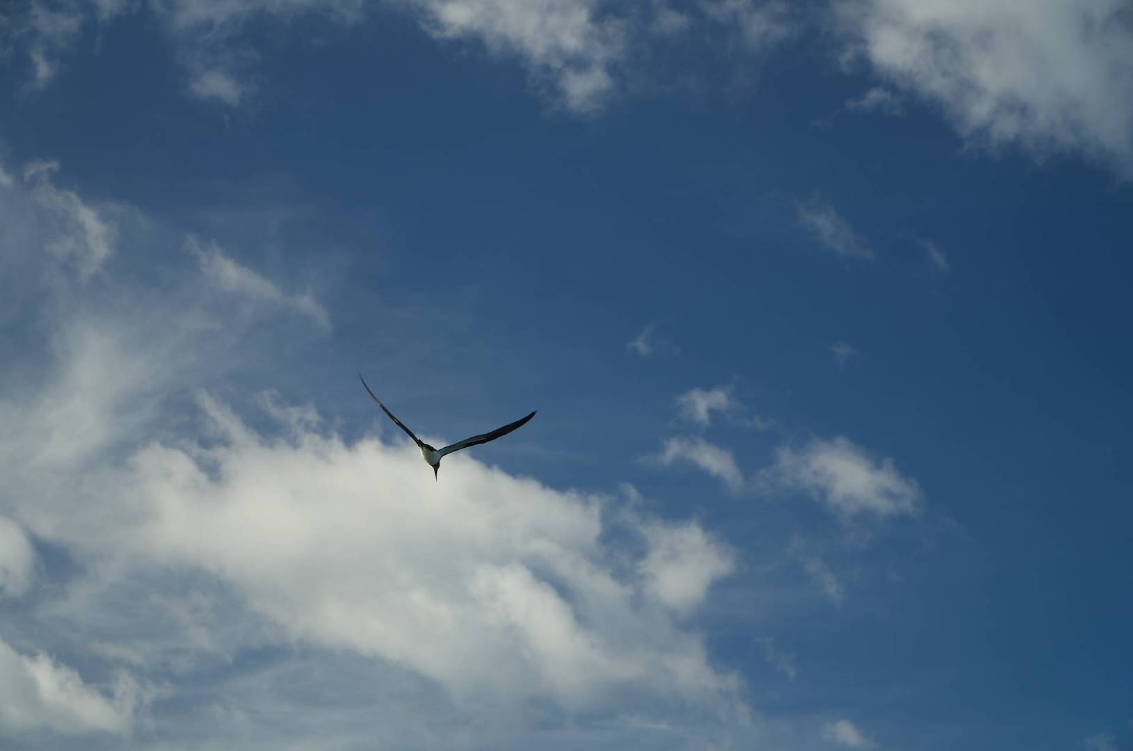 Retiring in Costa Rica: A Guide to Investment and Quality of Life