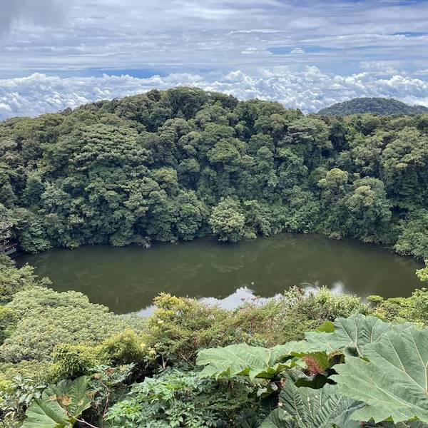 Rifugi urbani di biodiversità: la Costa Rica trasforma cemento e traffico in spazi verdi
