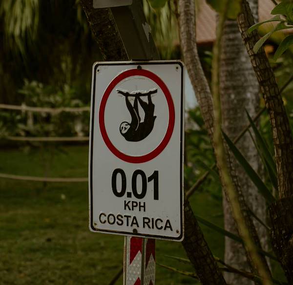 Costa Rica e sicurezza: cosa sapere prima di vivere o comprare casa qui