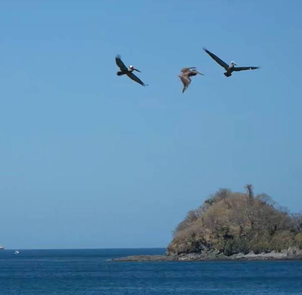 La fine della bassa stagione in Guanacaste: cosa cambia per chi compra casa in Costa Rica
