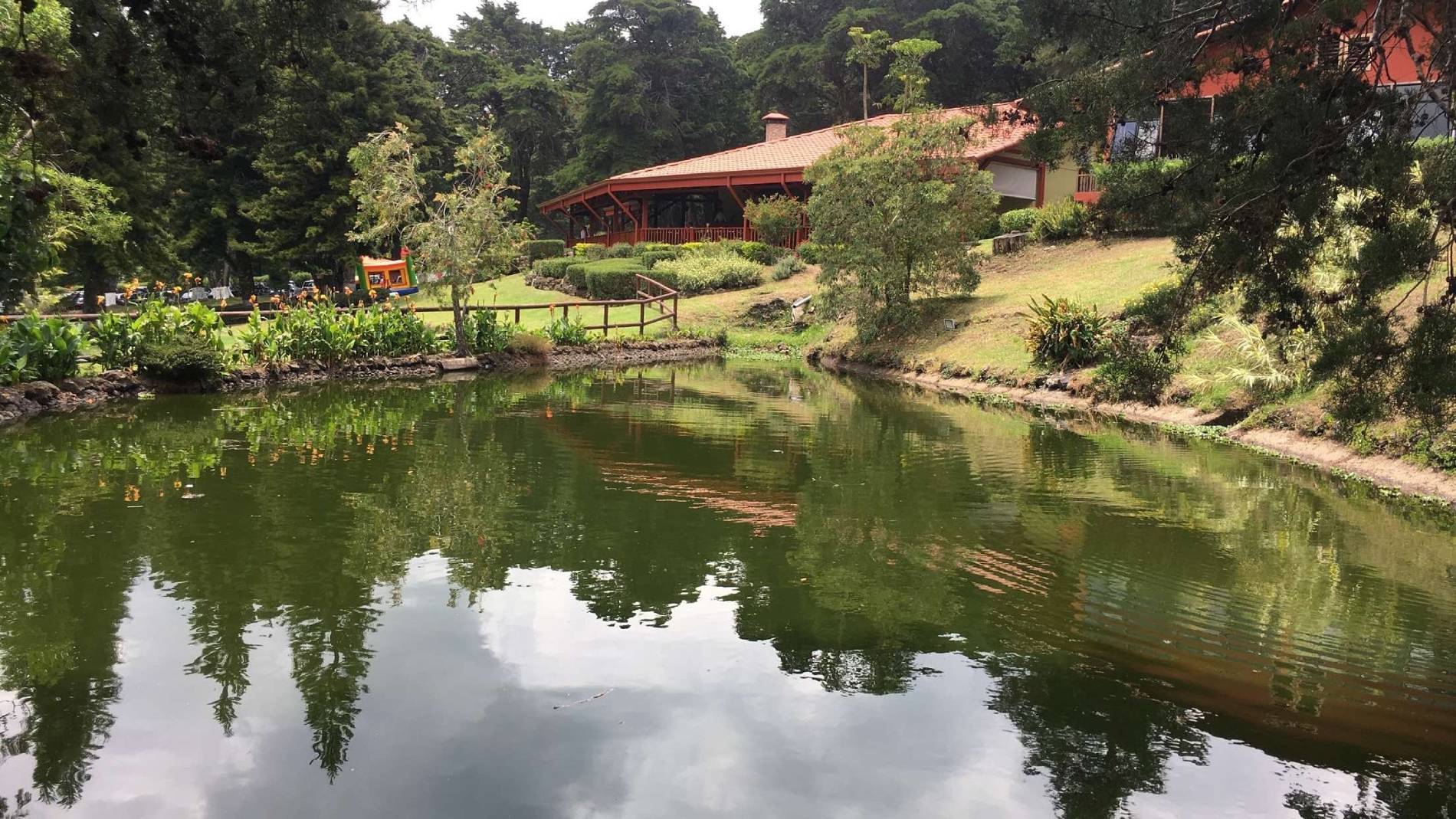 Urban Biodiversity Refuges: Costa Rica Turns Concrete and Traffic into Green Sanctuaries
